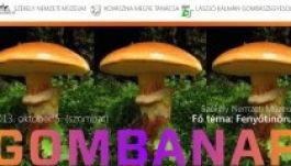 Gombanap lesz szombaton a Székely Nemzeti Múzeumban