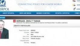 A horvátok angolul is elküldték a Mol-vezér elfogatóparancsát