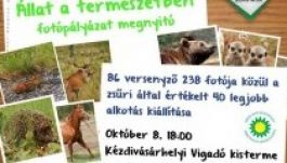 Állat a természetben fotókiállítás