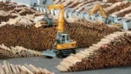 Fafeldolgozó óriáscég készül befektetni Hargita megyében is?