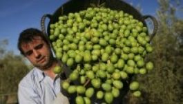 Csak papíron dübörög a gazdaság Romániában