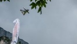 Nagy erőkkel keresik Kínában a szárnyasruhás ugrás magyar bajnokát