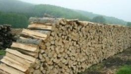 Székelyföldi fűtésdilemma: cándra vagy infrapanel?