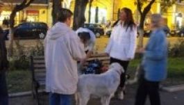 Több mázsa aprópénz gyűlt Lakó Péterfi Tündének