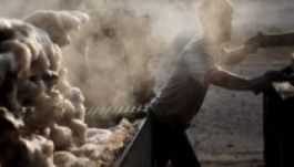 EP: egymillió ember és rabszolgasorban az EU-ban