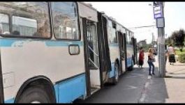 Troli köti majd össze a repülőteret a vasútállomással Kolozsváron