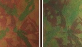 Mozgó-hatású festményeket állítanak ki Kézdivásárhelyen