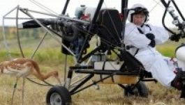 Eltévedt Varon, a Putyin által repülni tanított hódarvak egyike