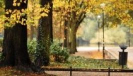 Kellemes ősz lesz Erdélyben a következő napokban