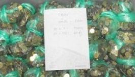 Kifizette a bírság felét Lakó Péterfi Tünde