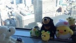 Plüssállatoknak nyitottak utazási irodát Japánban