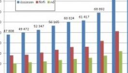 A magyar a legdinamikusabban növekvő németországi kisebbség