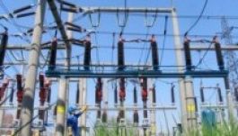 Őrizetbe vették a Hidroelectrica egyik igazgatóját