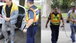 Vádat emeltek a „margitszigeti szatír” ellen