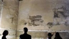 Leonardo-freskót találtak Milánóban