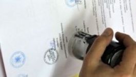 Hargita megyében kétszáz munkahely létesül