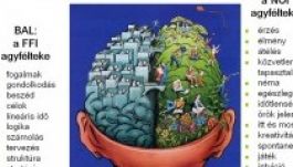 Tesztelje az agyát 30 másodperc alatt: melyik féltekét használja?