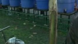 Csapvizet árult az ortodox egyház szenteltvíz helyett