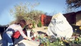 Cipő édesanyja elkergette a fiára emlékező Republic-tagokat