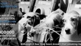 Van, akinek összejön az Európai Polgári Kezdeményezés