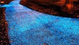 Csillagösvény vezeti haza az éjszakában Cambridge lakóit