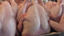 Romlott hústerméket szállított a Selgrosnak az adócsaló cég