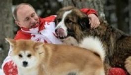 Már nem Obama, hanem Putyin a legbefolyásosabb ember