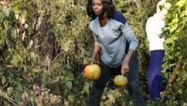 Michelle Obama betakarította a tököt és a brokkolit
