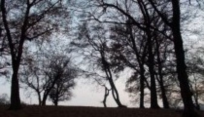 Csészealjat fényképeztünk a Hójában, nem repült