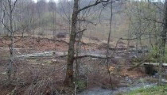 Készül az illegális erdőirtások térképe