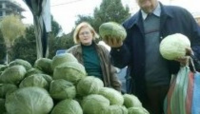 Aprópénzért adják a káposztát Nagykároly környékén