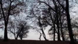 Csészealjat fényképeztünk a Hójában, nem repült