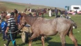 A 176 éves székelyhodosi lóvásárban jártunk