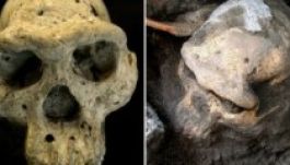 Teljesen átírhatja egy koponya az emberi evolúciót