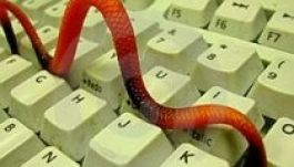 Az első digitális járvány már 25 éves