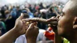 Megadózzák a marihuánát Coloradóban