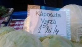 Kérvény-akcióval folytatja a küzdelmet a kétnyelvűségért Lakó Péterfi Tünde