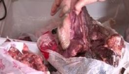 Ötvenöt tonna fertőzött csirkehúst vonnak vissza