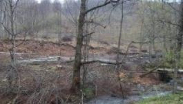 Készül az illegális erdőirtások térképe