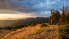 Szétárad benned az adrenalin a nagyvad közelében