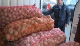 Másfél tonna krumplival segítik a kollégistákat