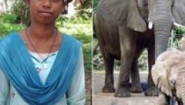 Gyásza miatt tanult meg az elefántokkal beszélni egy lány