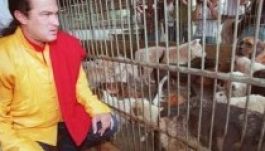 Steven Seagal örökbe fogad egy kóbor kutyát Giurgiu megyében