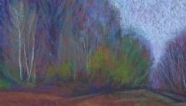 Magyar állami kitüntetést kap Bitay Zoltán festőművész