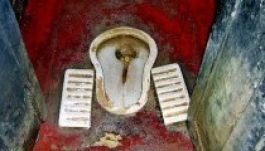 November 19. a vécék világnapja