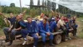 A toryk nem tudnak belenyugodni a román bevándorlók érkezésébe