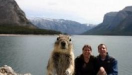 Ilyen felvételek készülnek, ha ihletett pillanatban kattint a fotós (GALÉRIA)