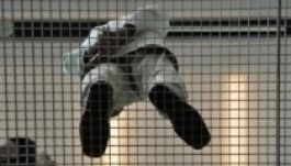 Tizennyolc év börtönre ítélhetik a román festményrablókat