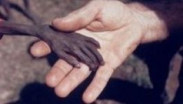 Megdöbbentő és szívszorító fotók galériája