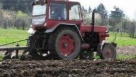 Kézhez kapták a gazdák a területalapú támogatás előlegét